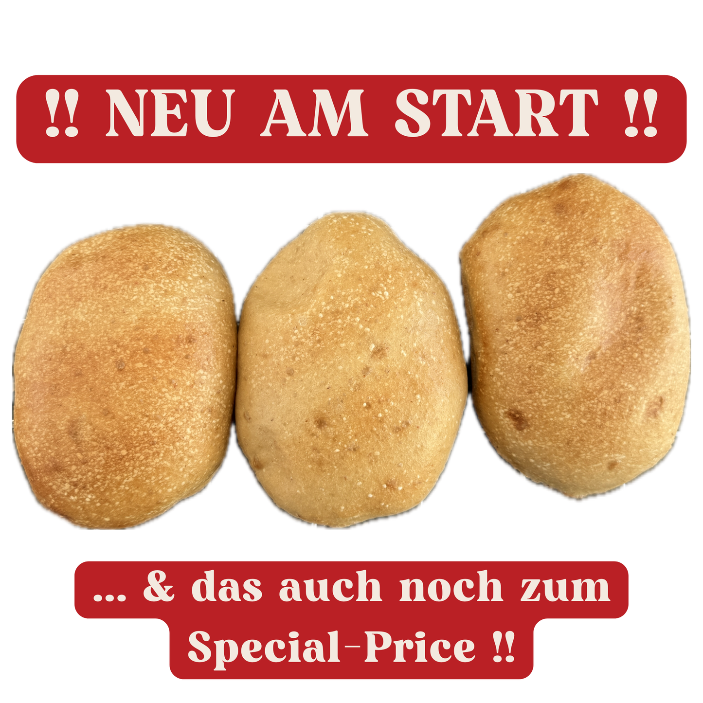 FIT-PANINI (3 Stück)